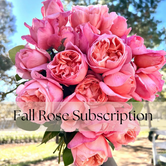 Fall Garden Rose Subscription