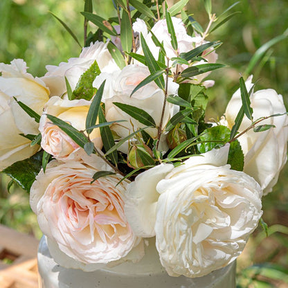 Top Cream™ (Fresh Cut Rose Stems – 1 dozen)